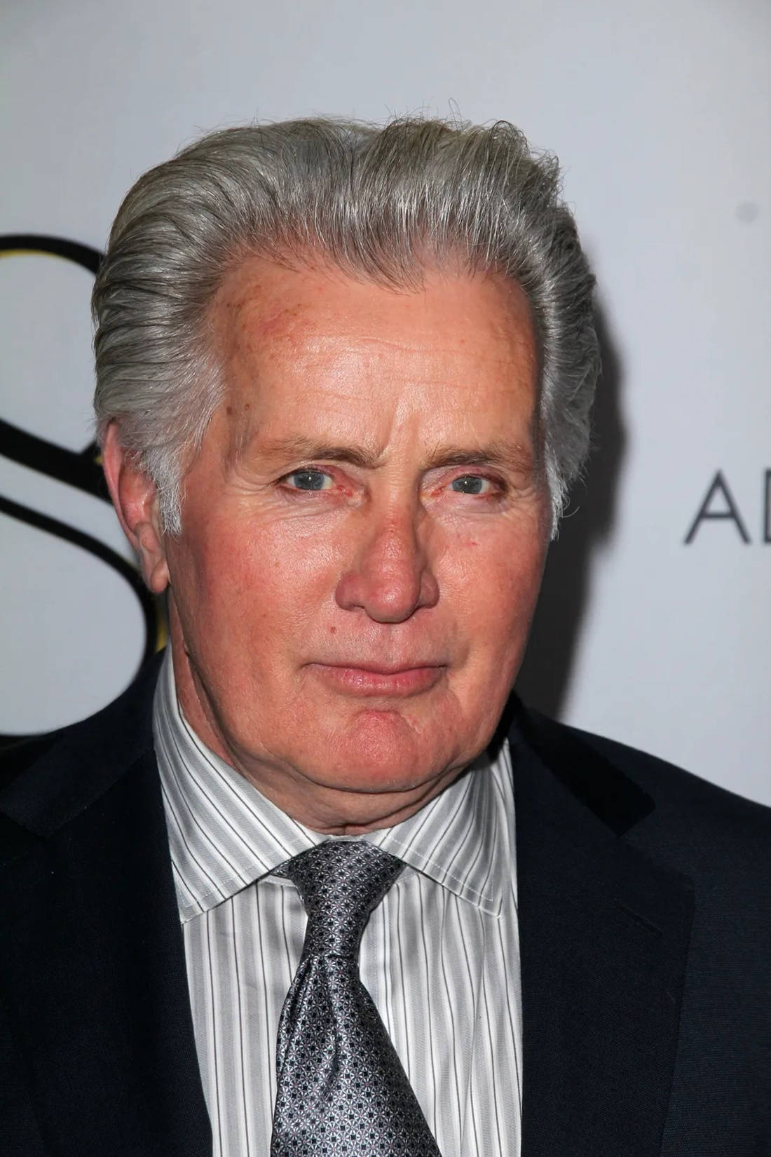 Hollywood Star Martin Sheen 8 Premiere Close Up Shot Wallpaper