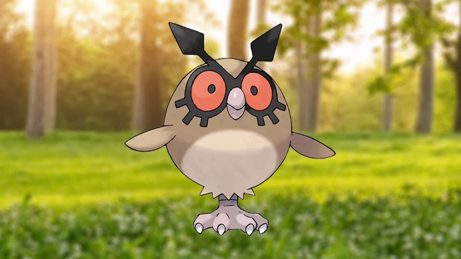 Hoothoot Pokemon Standing On Grass Wallpaper