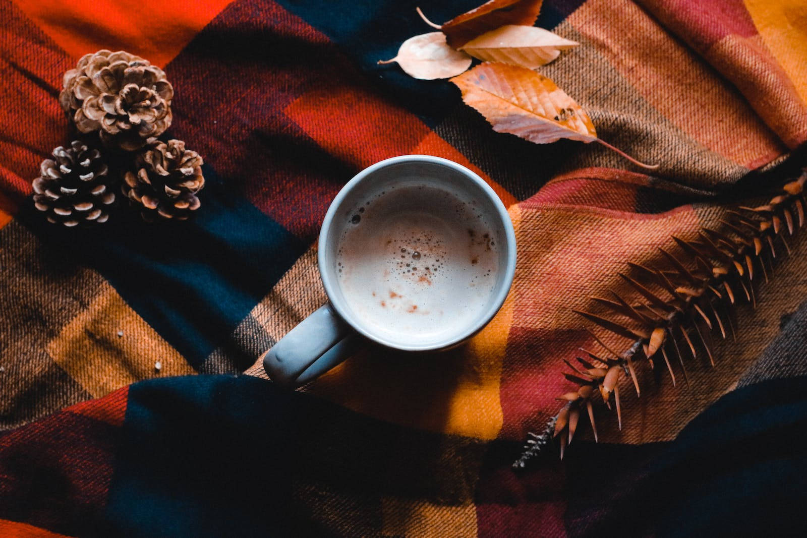 Hot Cocoa For Rustic Fall Wallpaper