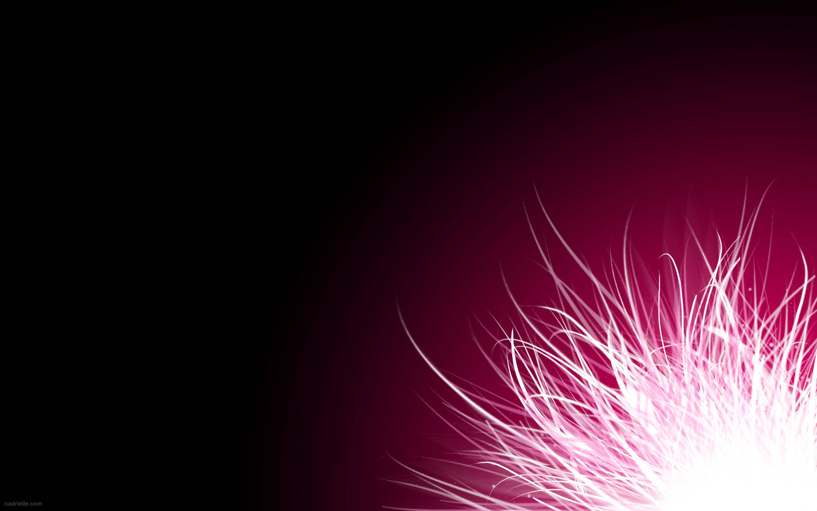 Hot Pink Glowing Flower Wallpaper