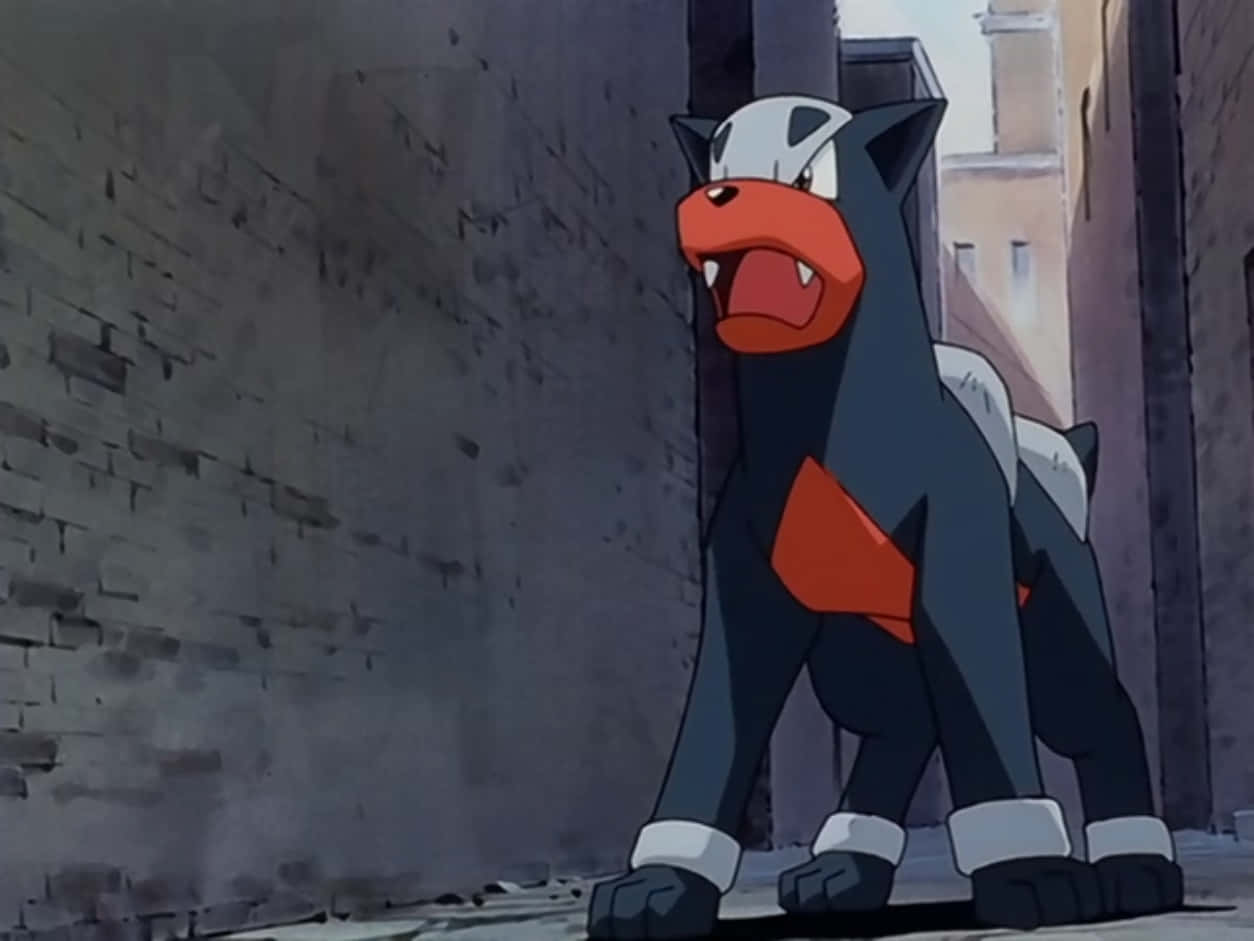 Houndour In The Pokemon Anime Wallpaper