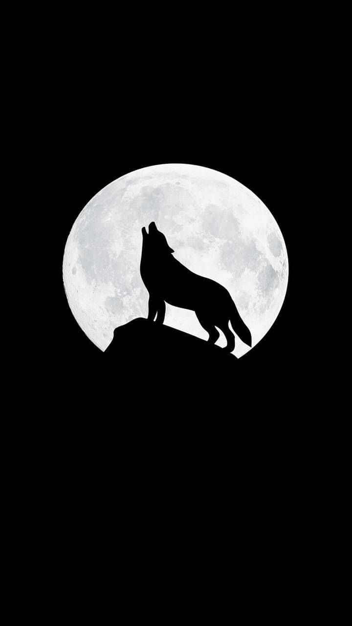 Howling Wolf In A Full Moon Wallpaper