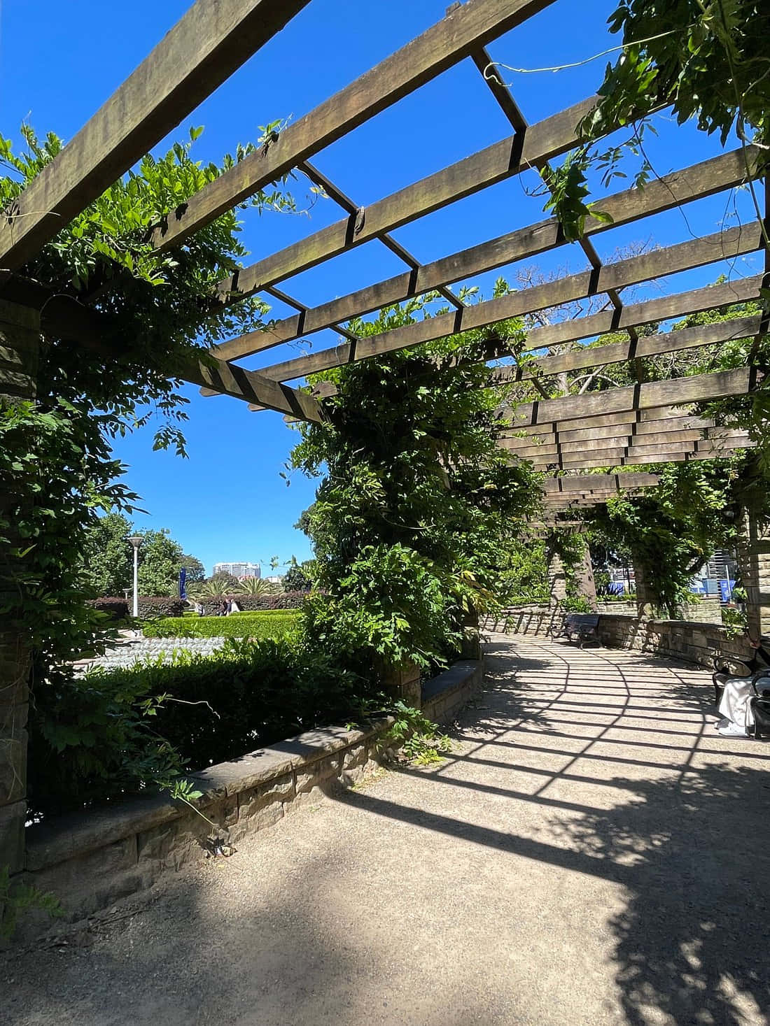 Hyde Park Sydney Pergola Pathway Wallpaper