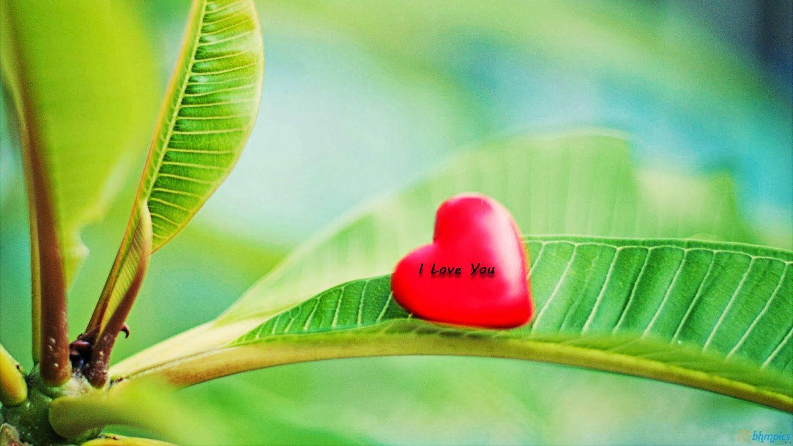 I Love You Heart Love Full Hd Wallpaper