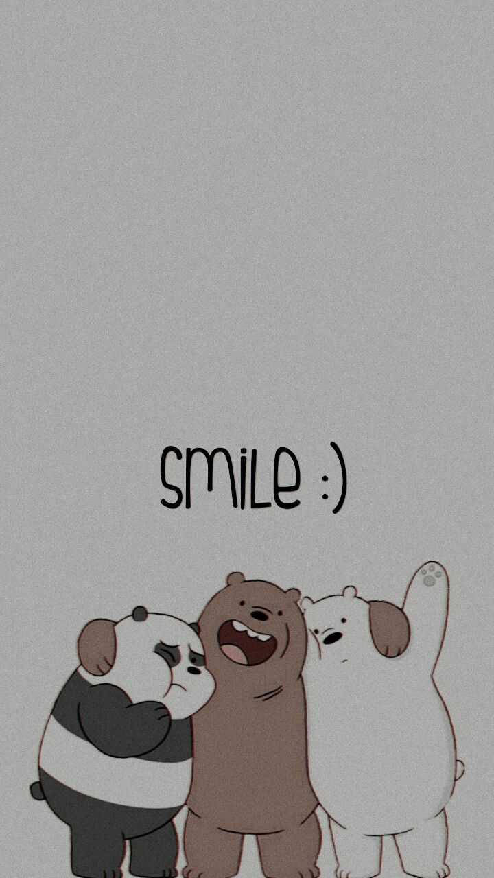 Ice Bear Grizzly Panda Hugging Smile Wallpaper