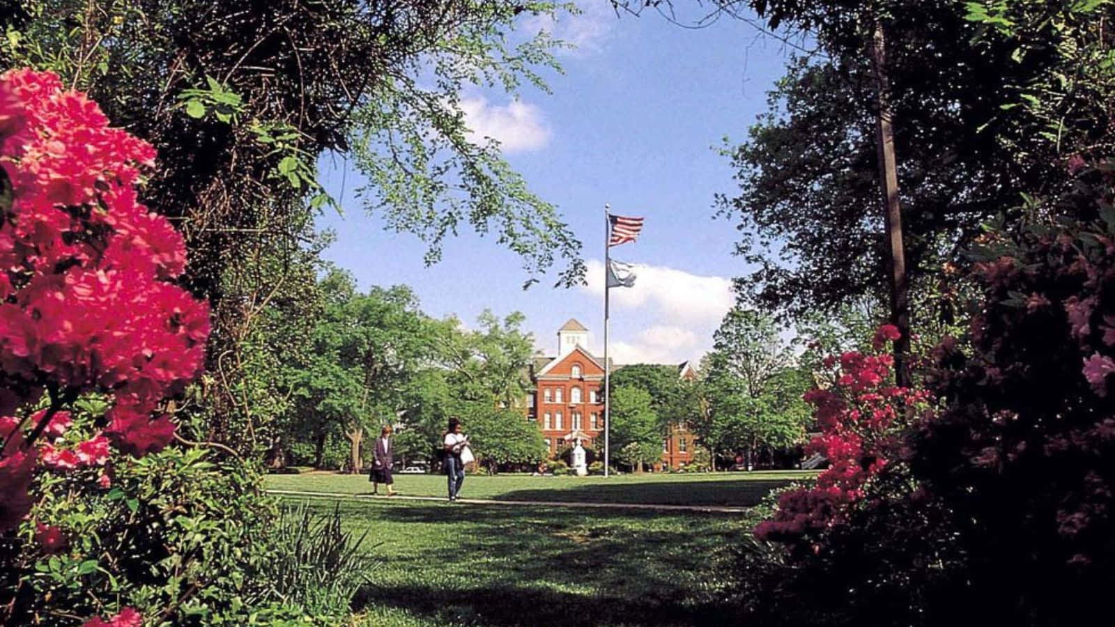 Idyllic College Campus Springtime Wallpaper