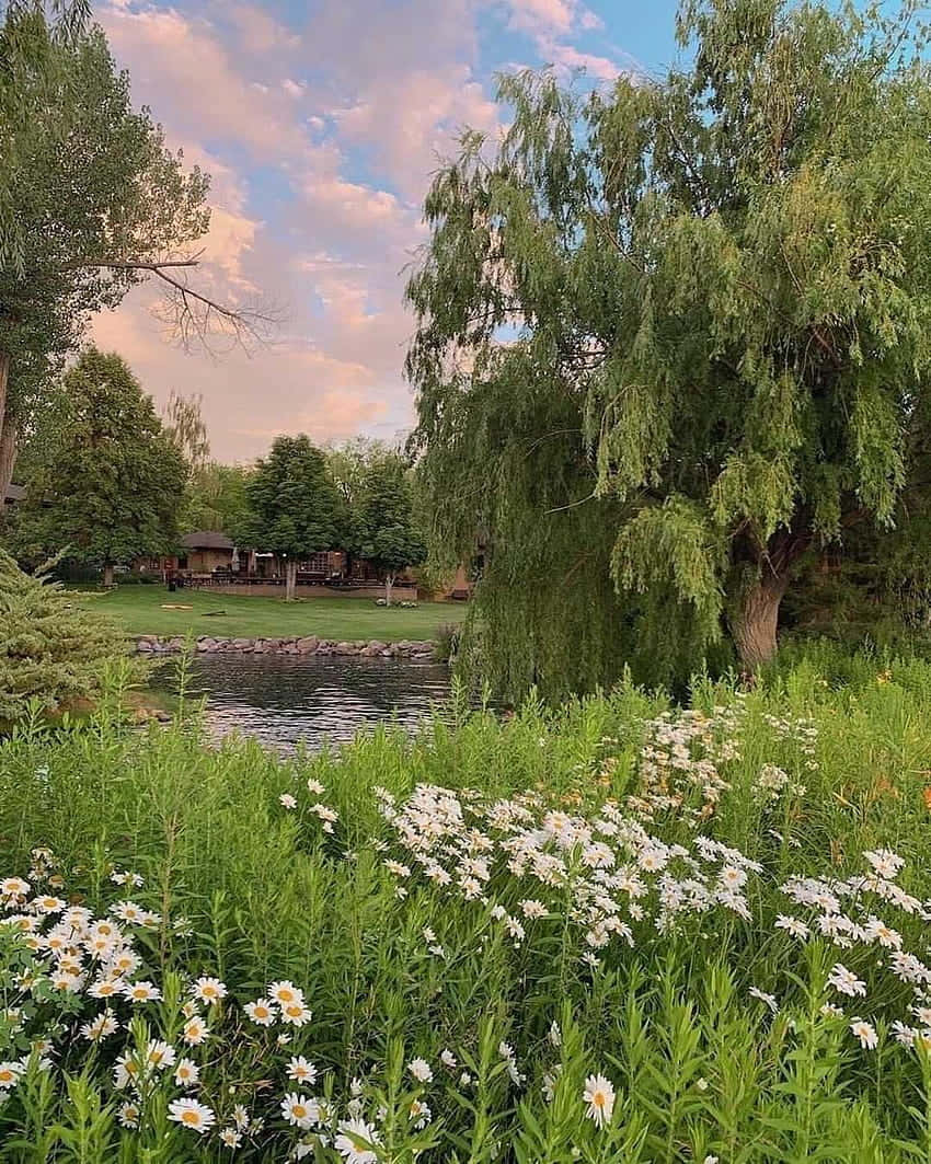 Idyllic Cottage By The Pond Wallpaper