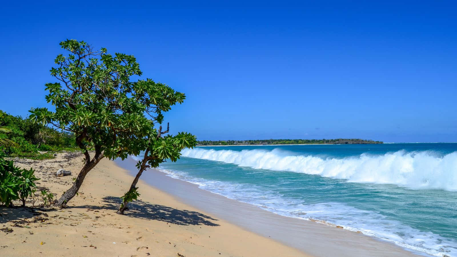 Idyllic Fiji Beach Paradise Wallpaper