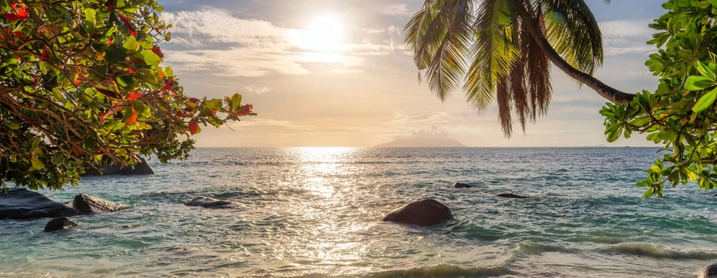 Idyllic Jamaican Beach With Turquoise Waters And Palm Trees Wallpaper