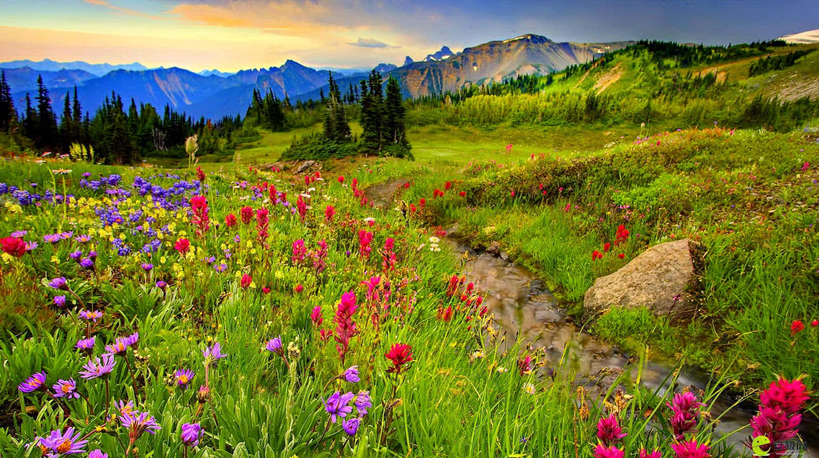 Idyllic Spring Meadow Wallpaper