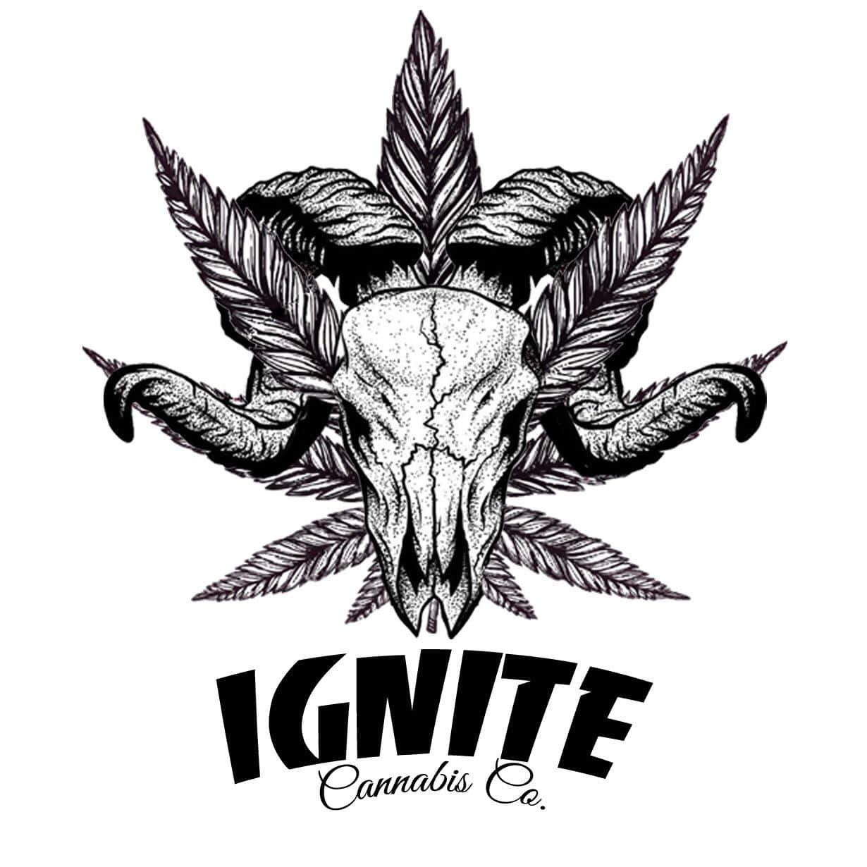 Ignite Cannabis Co Logo Wallpaper