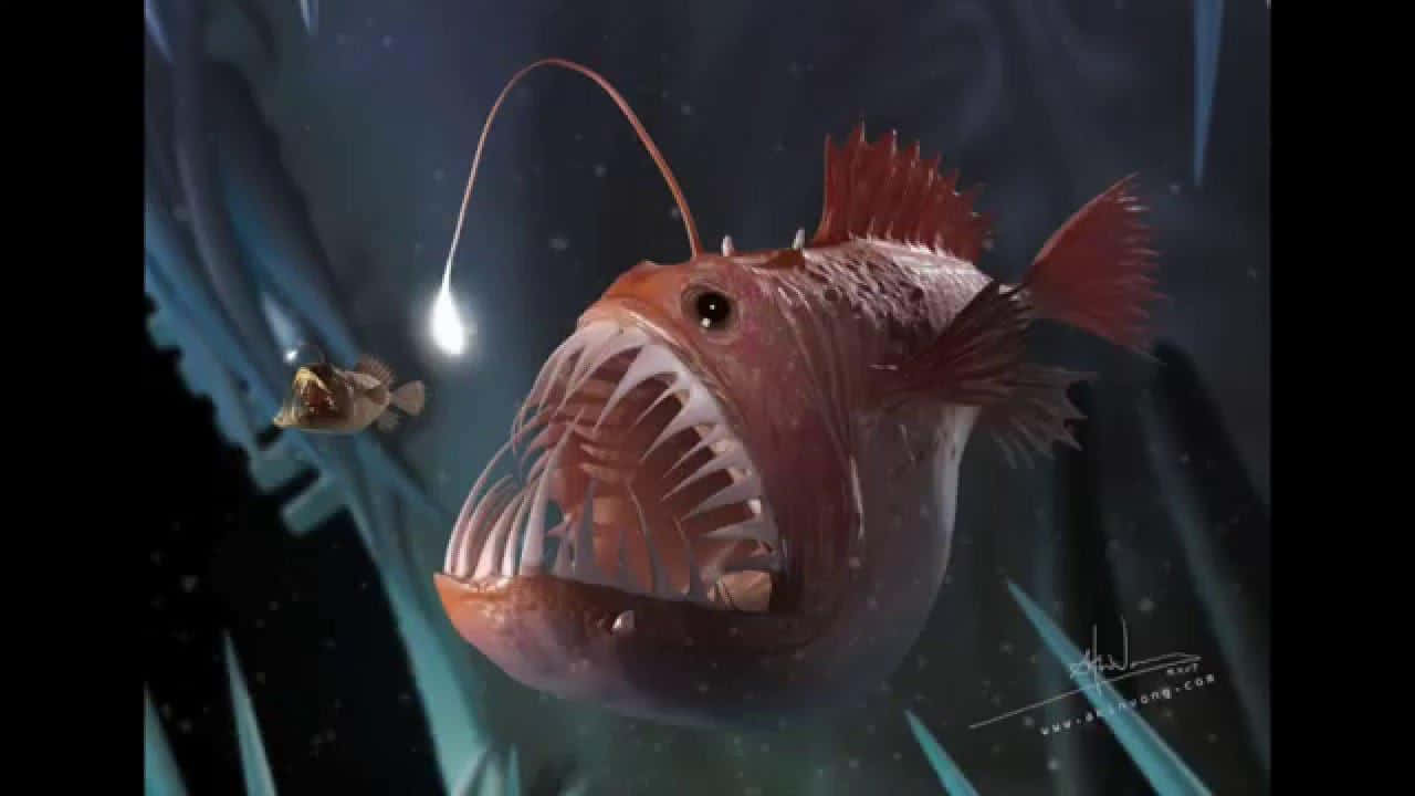 Illuminated Anglerfish In Deep-sea Exploration Wallpaper