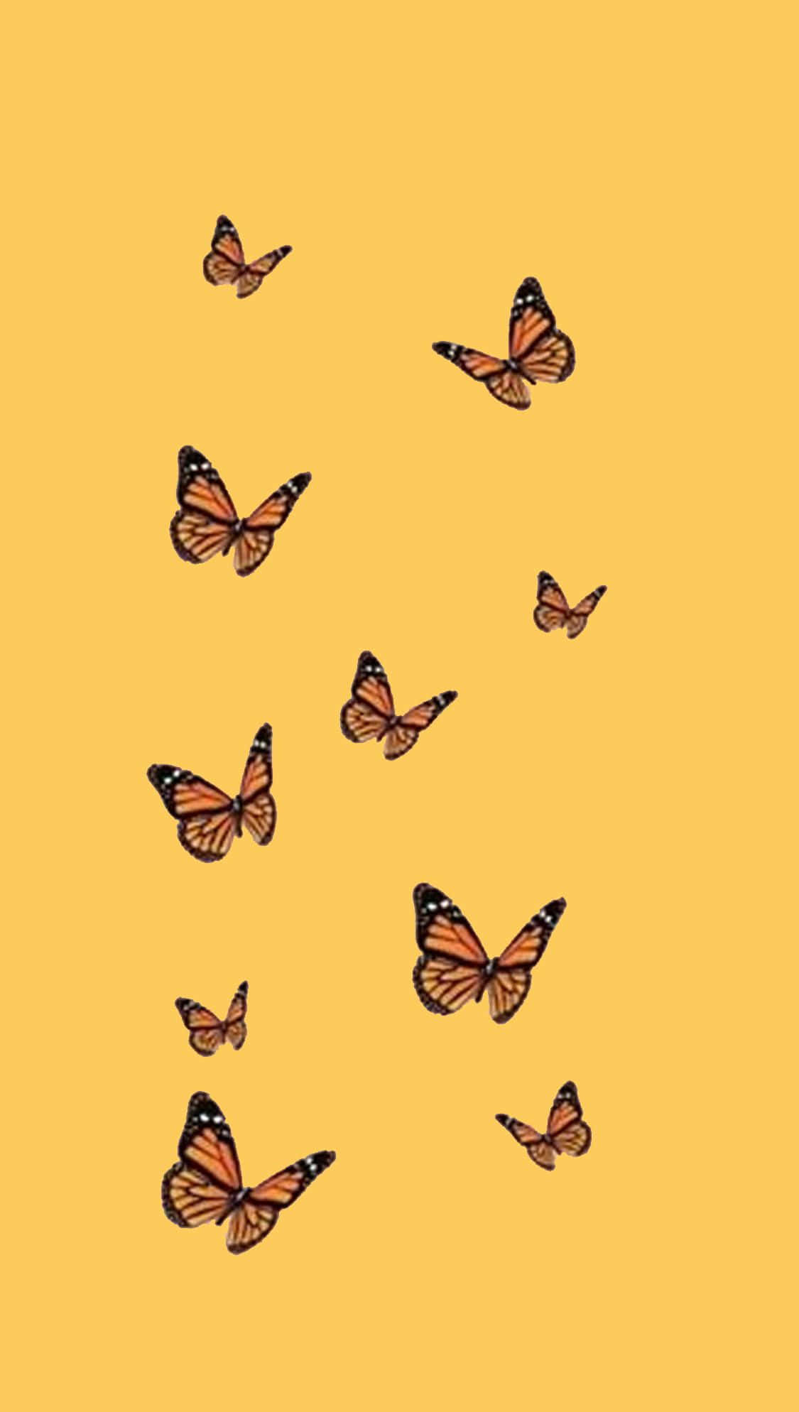 Illustrated Beauty Of A Butterfly Wallpaper