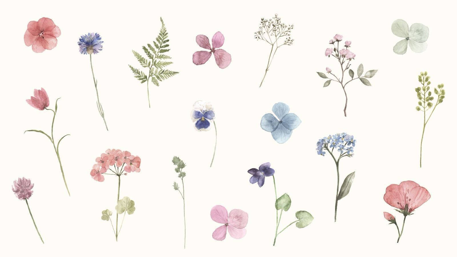 Illustration Spring Aesthetic Wallpaper