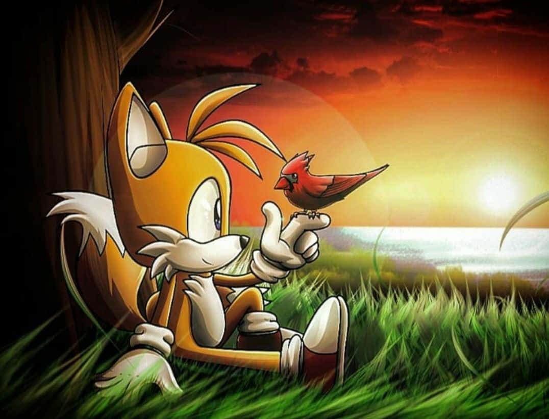 Image A Close-up Of Sonic's Pal, Tails Wallpaper