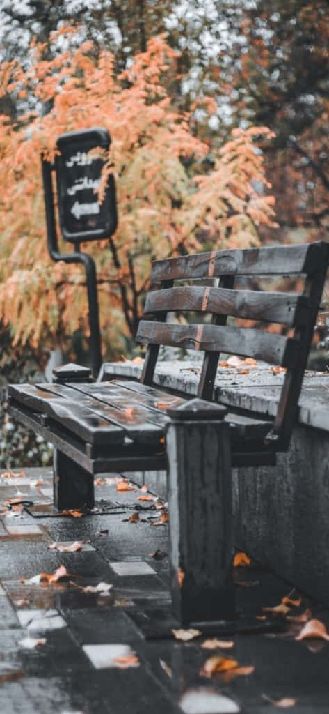 Image A Vintage Fall Scene In The Countryside Wallpaper