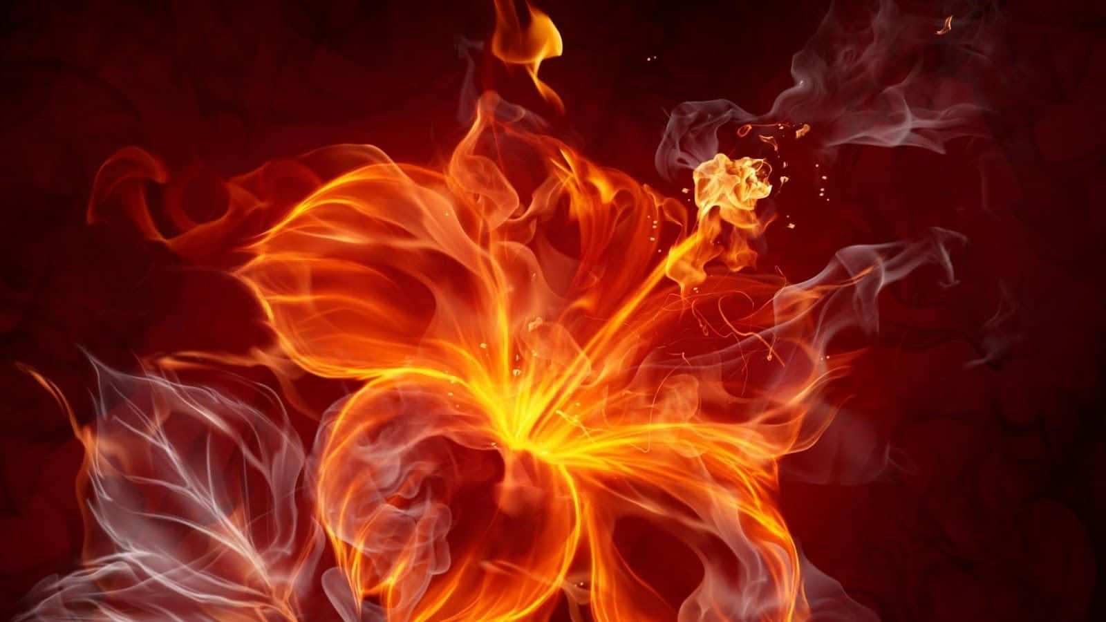 Image Blazing Flames Of Cool Fire Wallpaper