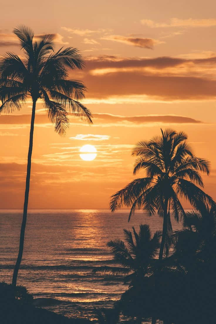 Image Enjoying Hawaii's Beautiful Sunset Wallpaper