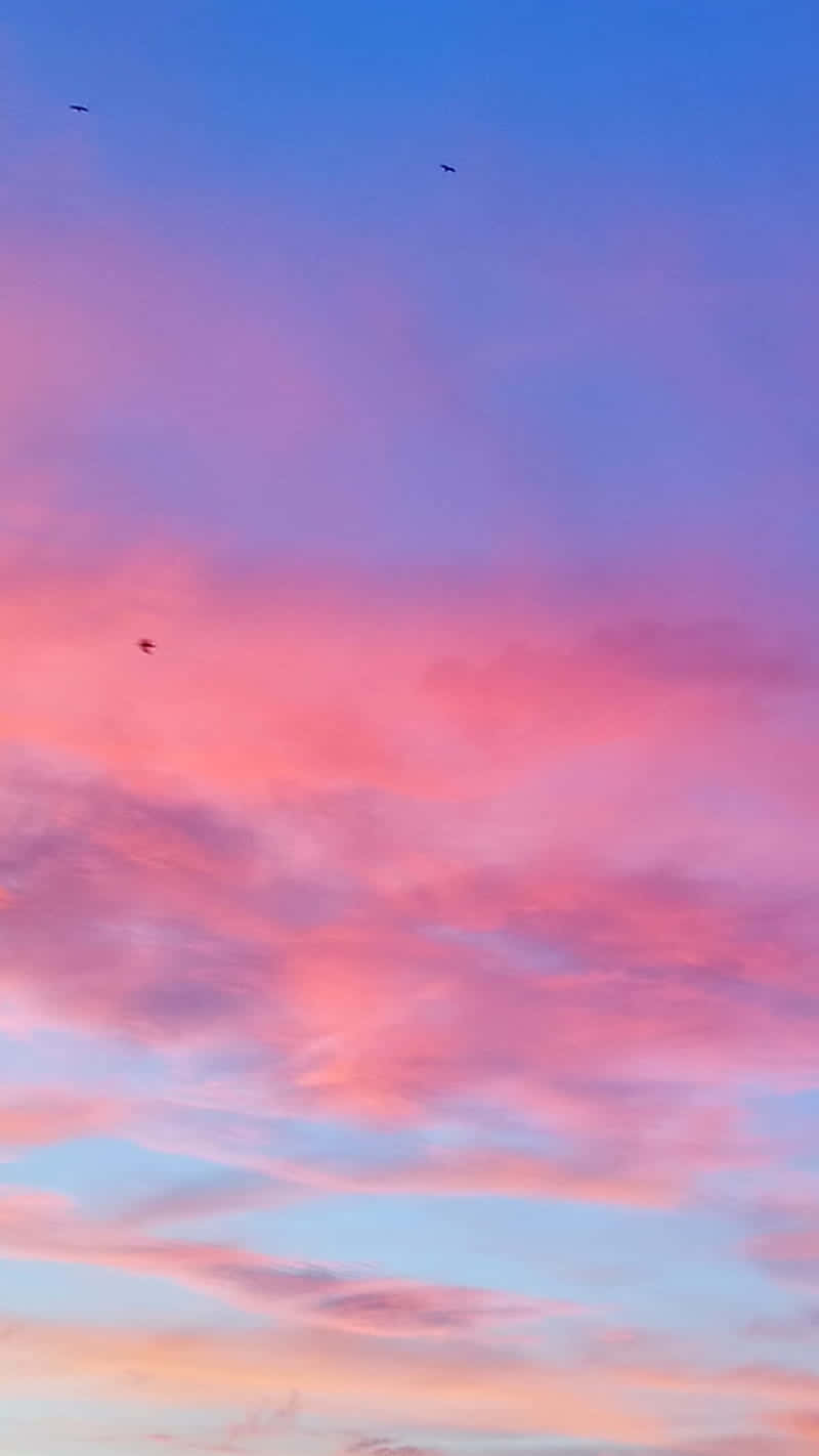 Image Hot Pink And Blue Sky With Clouds Wallpaper