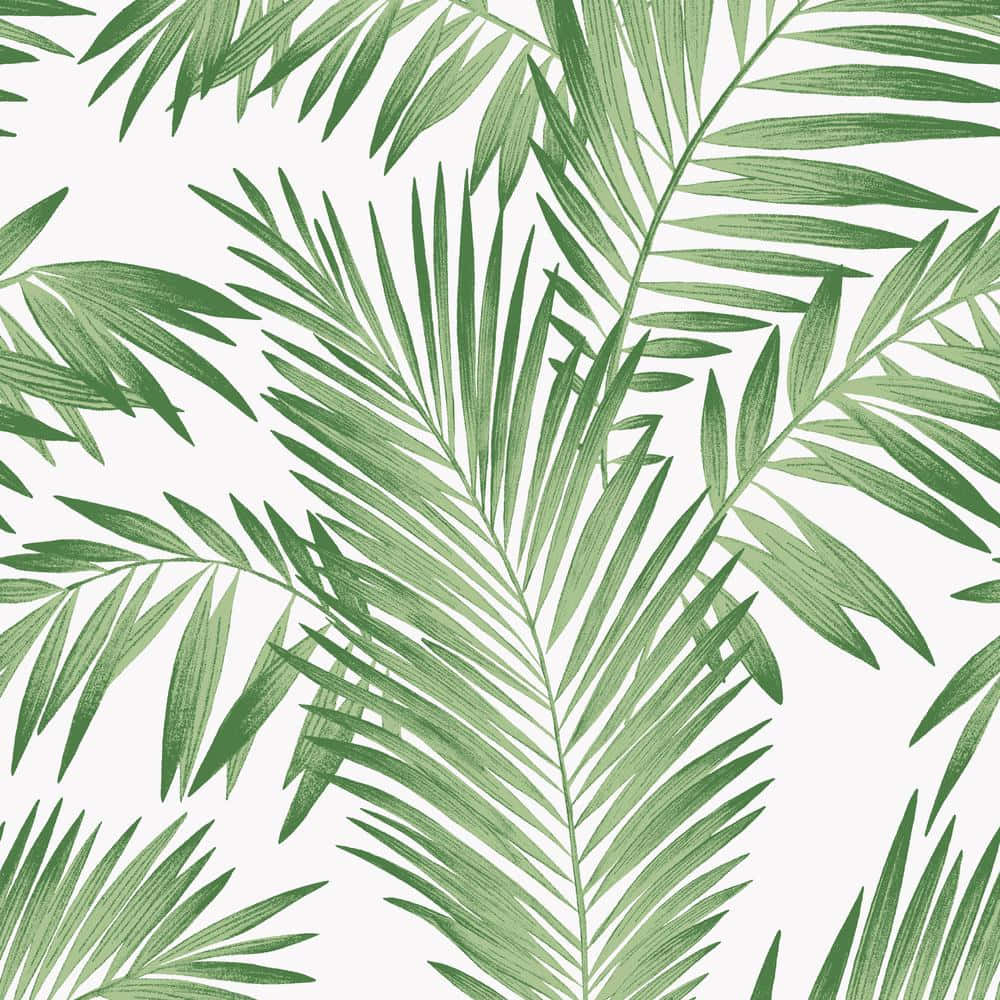 Image Paradise Awaits At Aesthetic Tropical Wallpaper