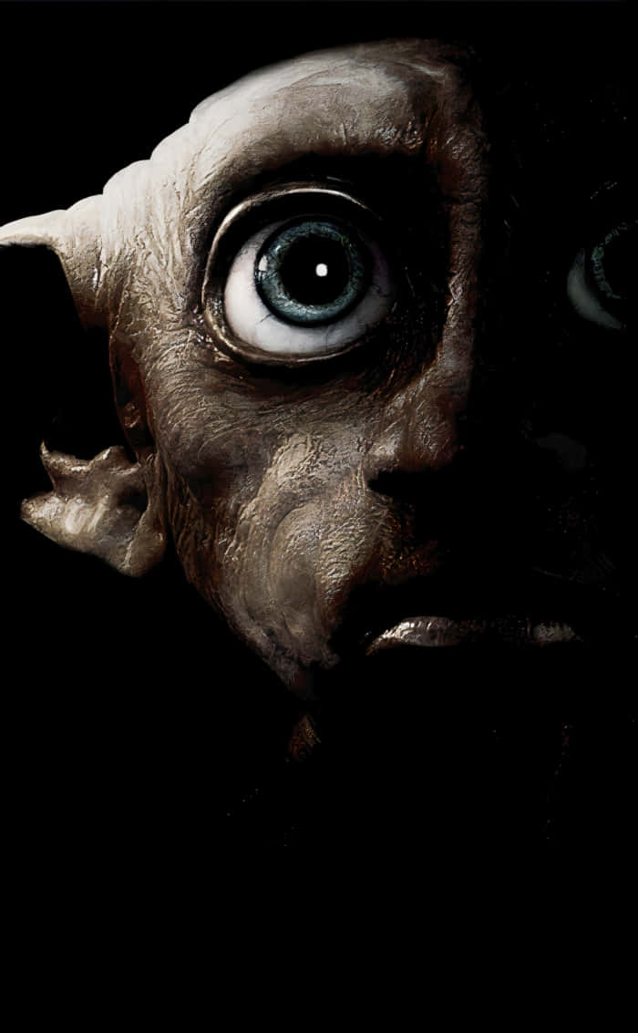 Image The Loyal House Elf Dobby Wallpaper