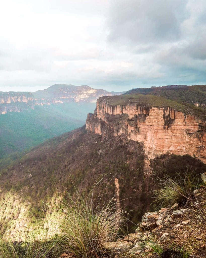 Immerse Yourself In The Beauty Of Blue Mountains National Park Wallpaper