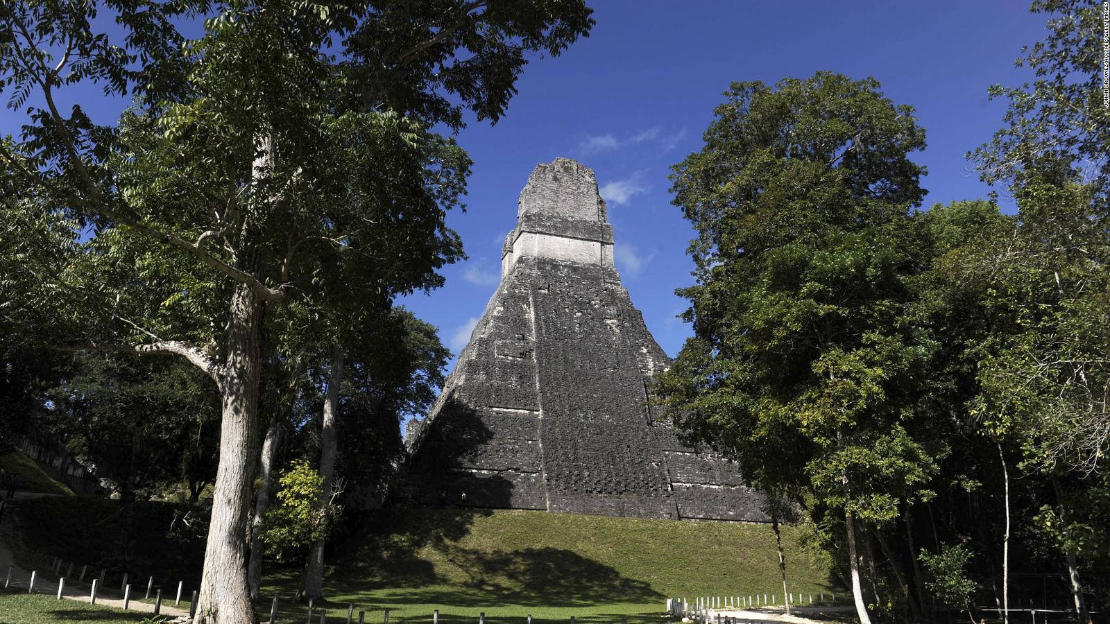 Immersed In Nature, The Ancient Mayan City Of Tikal Wallpaper