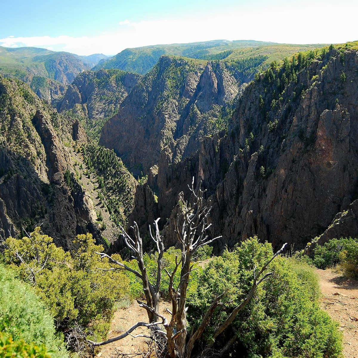 Imposing Rocky Mountains Alongside The Deep And Serene Black Canyon Wallpaper