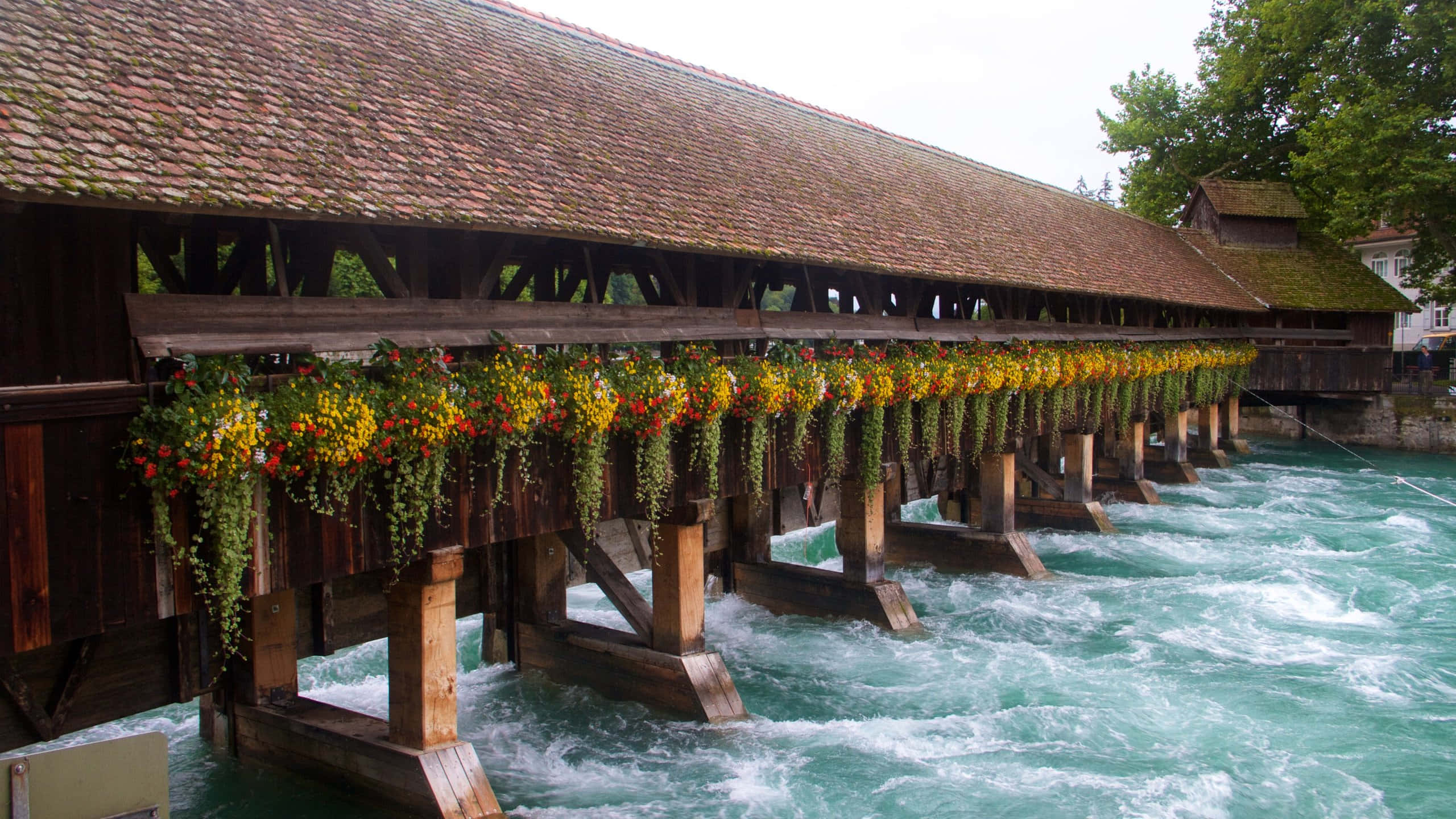 Impressive Panoramic View Of Thun, Switzerland Wallpaper