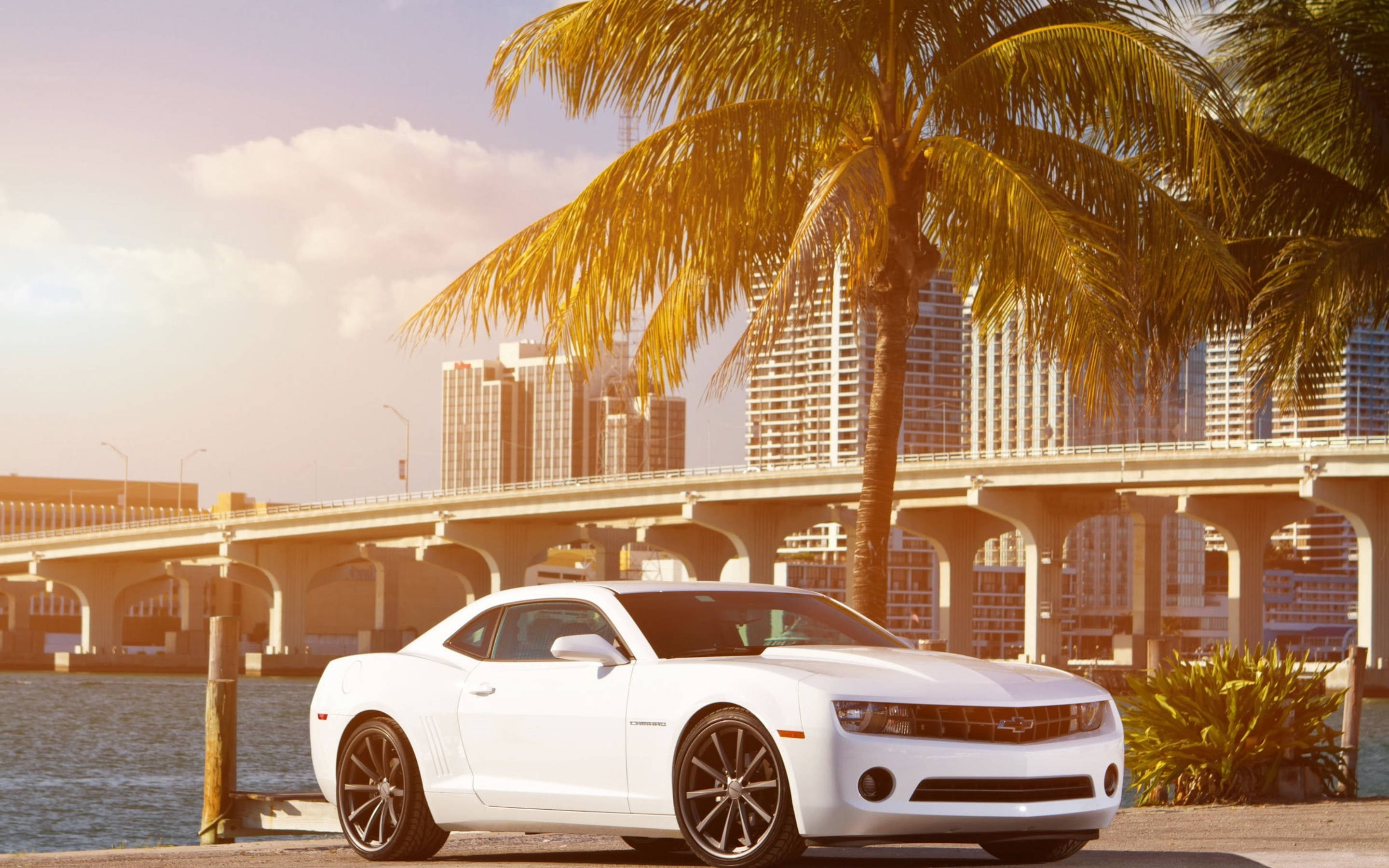 Incredible Camaro Muscle Car Basking In The Summer Sun Wallpaper