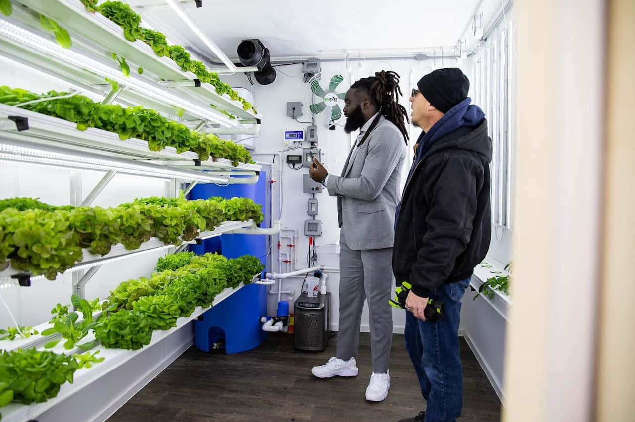 Indoor Hydroponic Farm Visit Wallpaper