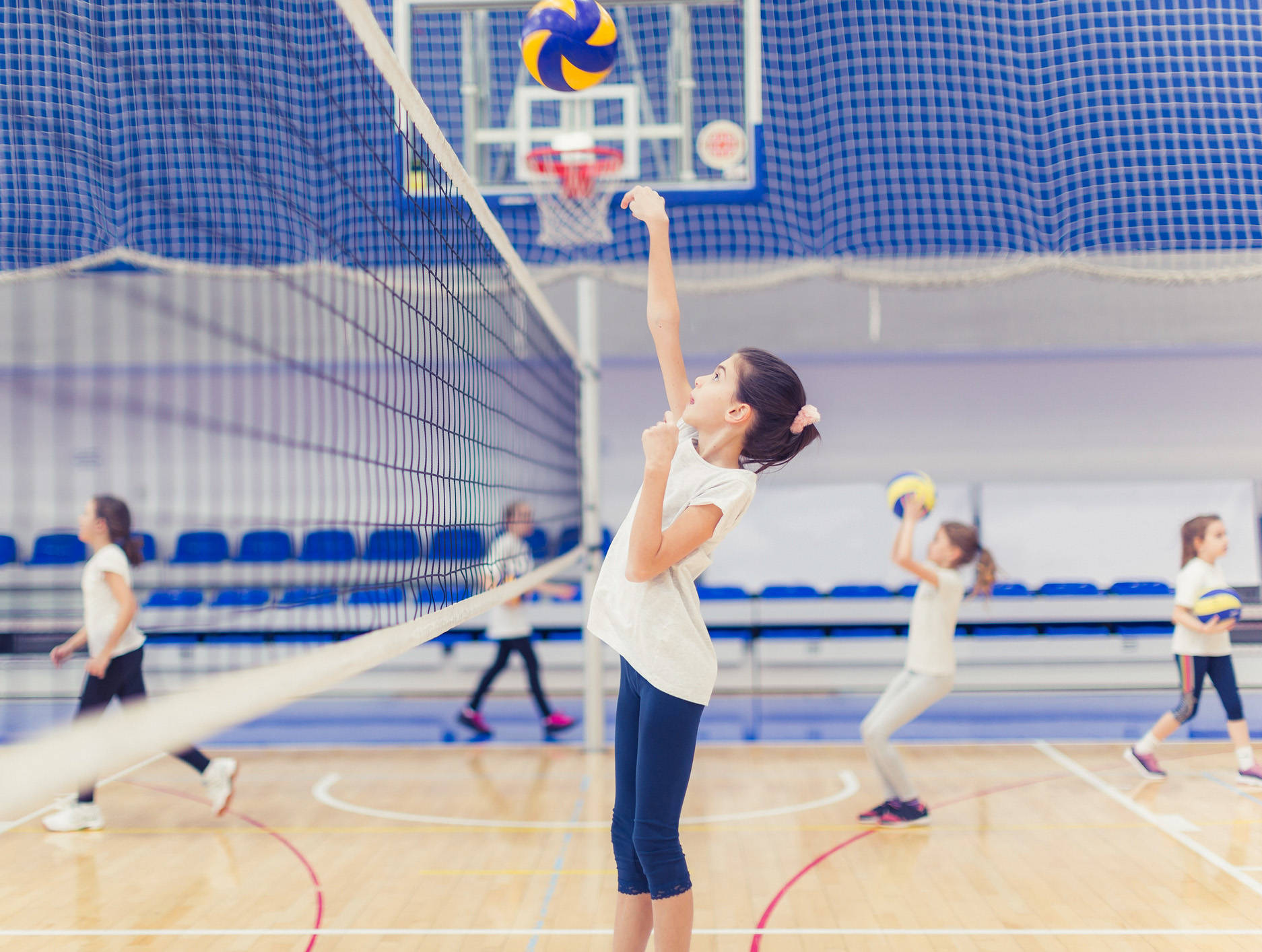 Indoor Volleyball Receive Wallpaper