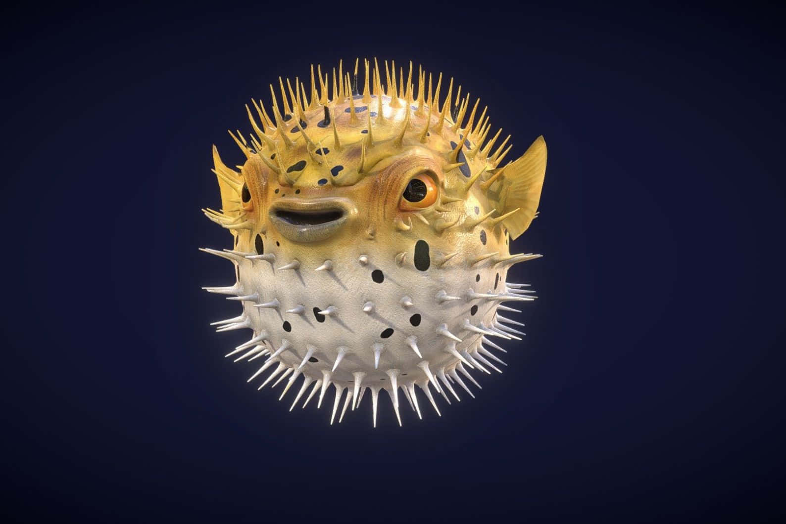 Inflated Blowfish Artwork Wallpaper