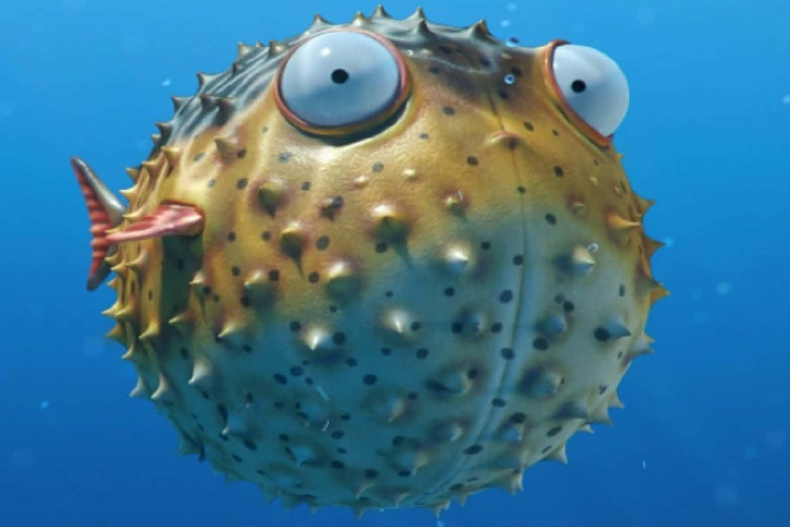 Inflated Blowfish Underwater Wallpaper