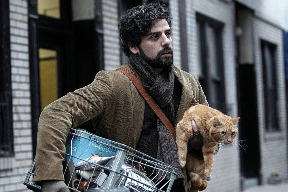 Inside Llewyn Davis With Cat Ulysses Wallpaper