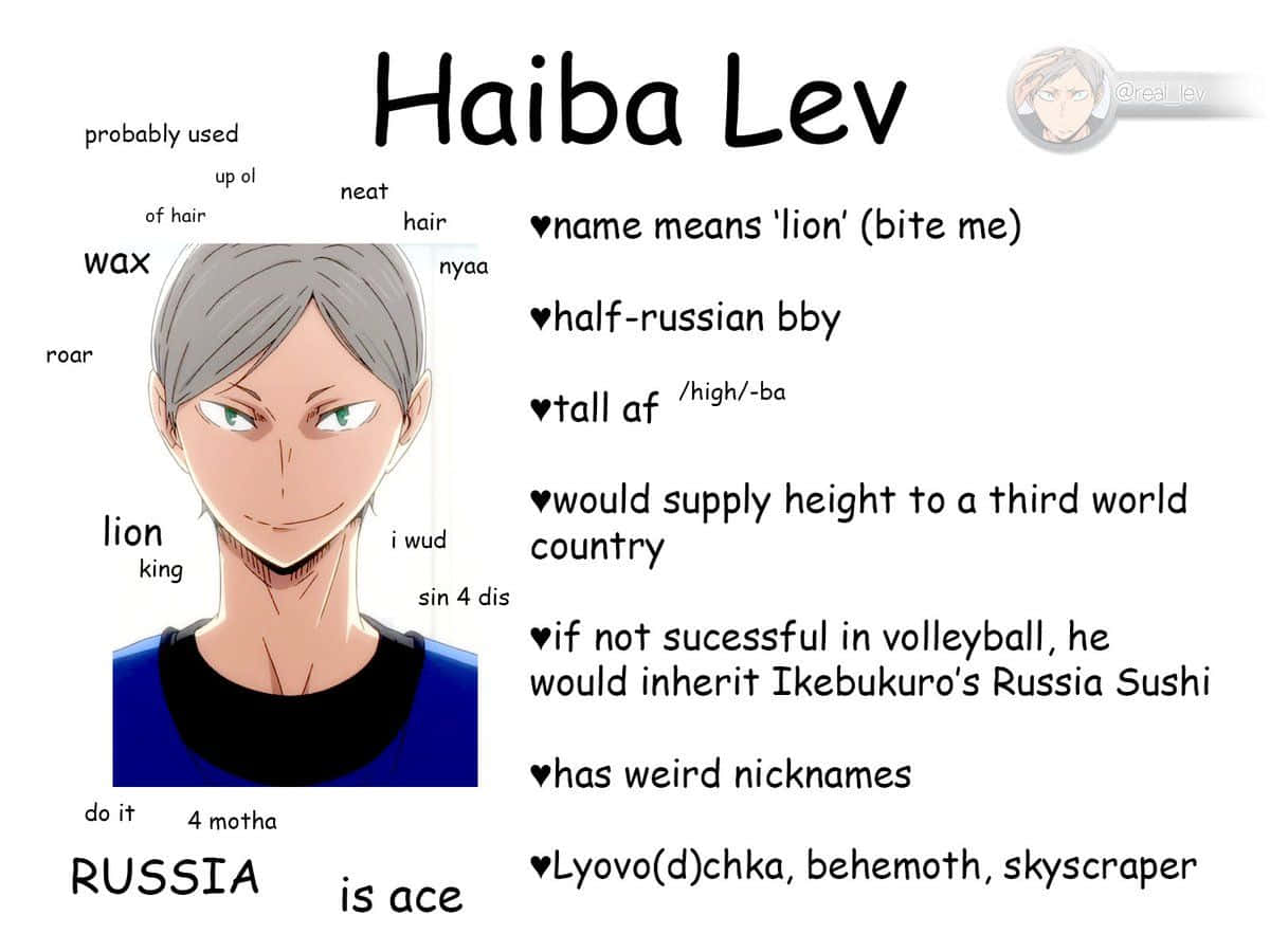 Intense Lev Haiba In Action On The Volleyball Court Wallpaper