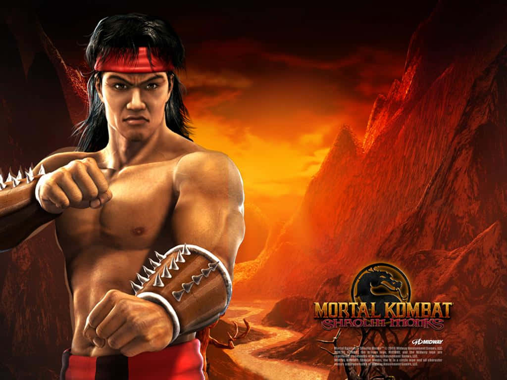 Intense Liu Kang In Battle Stance Wallpaper