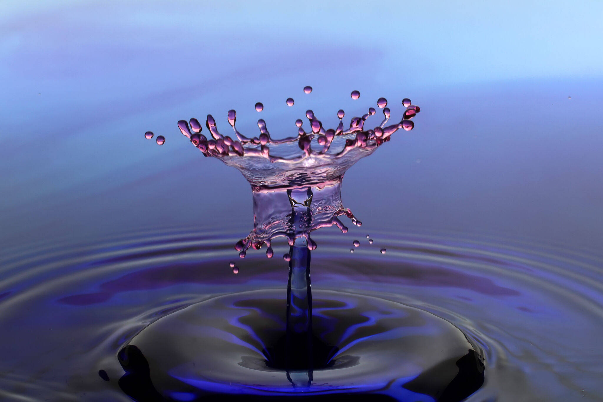 Intricate 3d Water Flower Splash Wallpaper