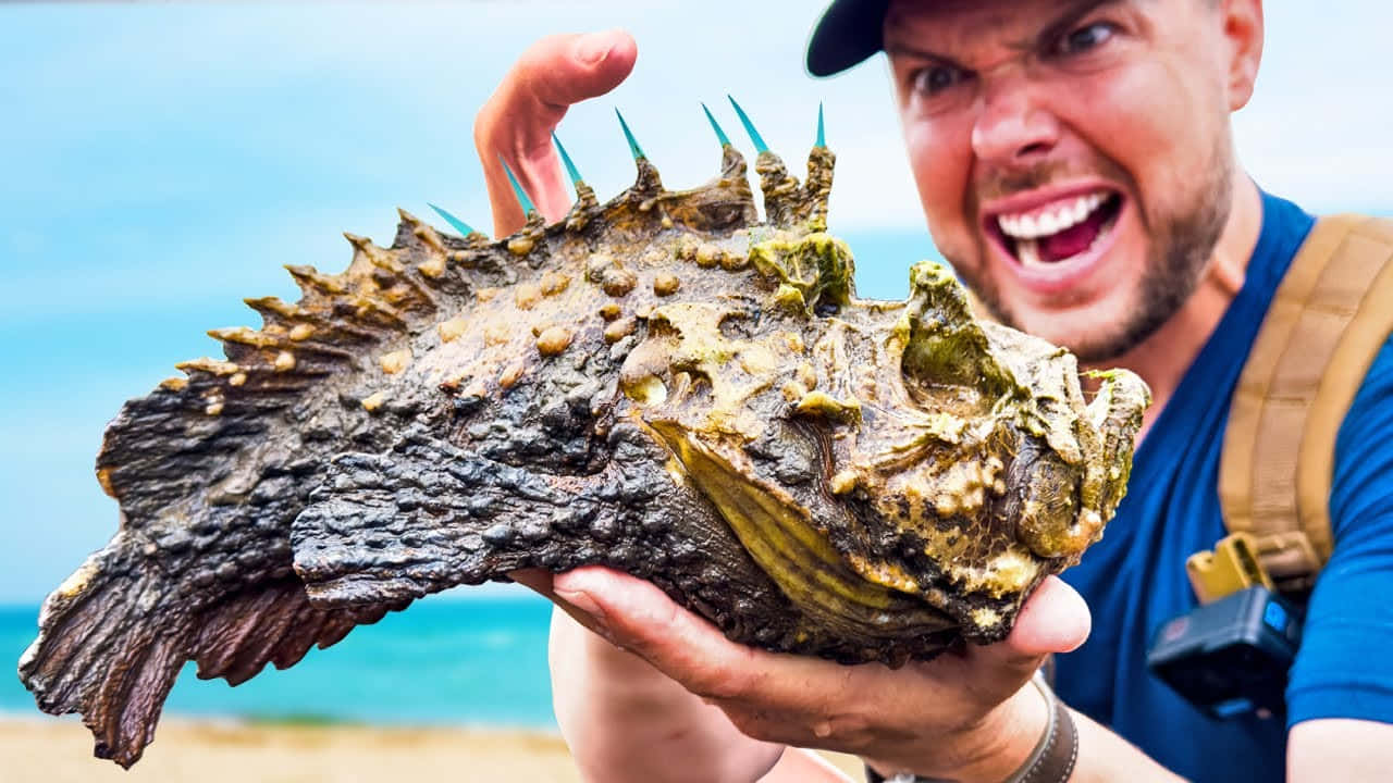 Intriguing Close-up Of A Stonefish In Its Natural Habitat Wallpaper