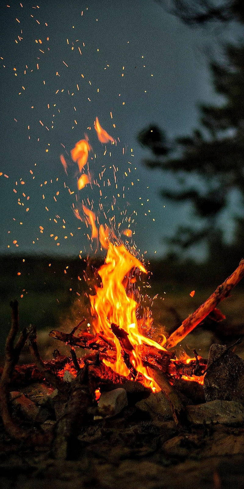 Iphone Camp Fire Forest Wallpaper