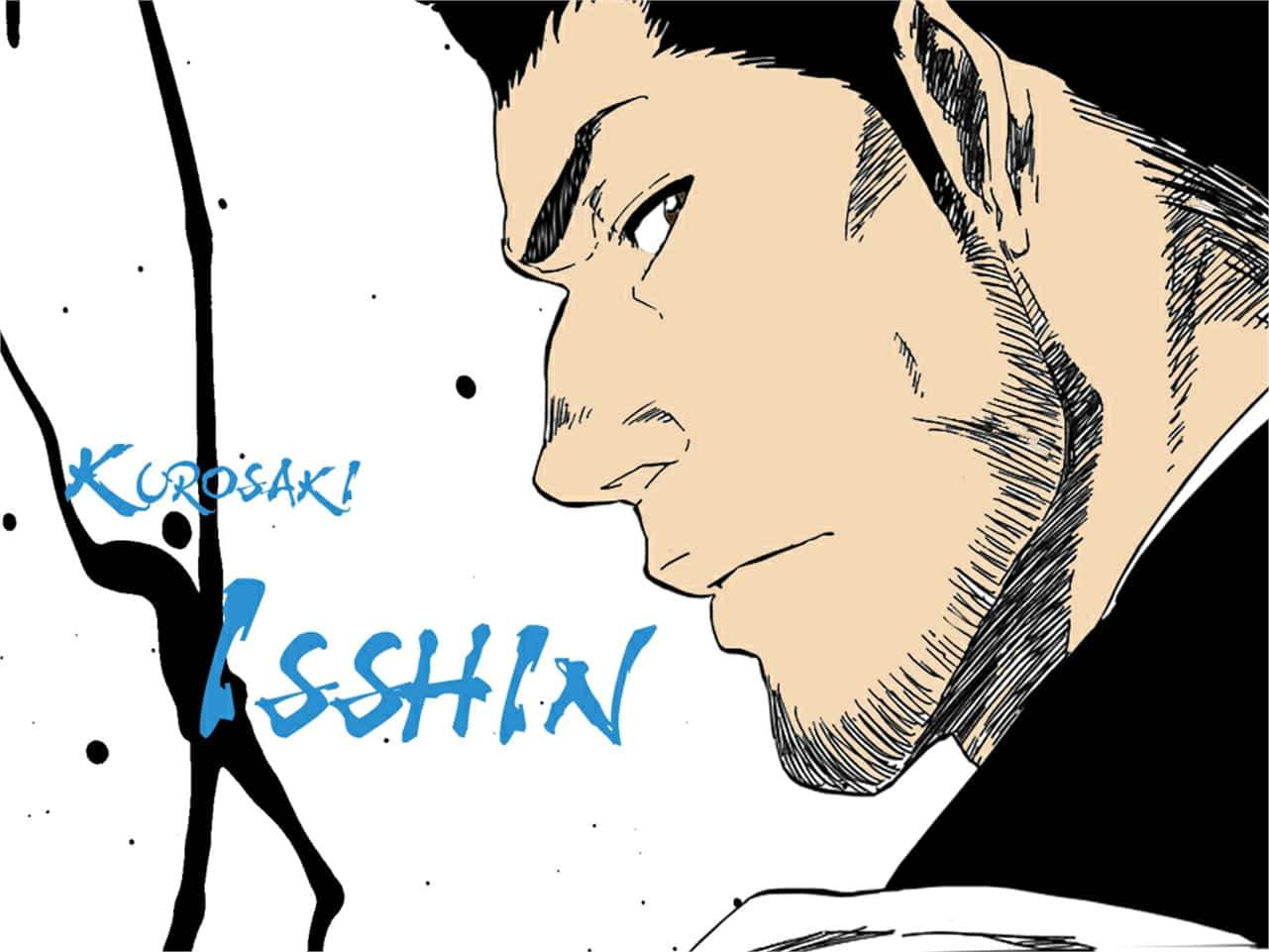 Isshin Kurosaki Grand Master Of The Soul Society Wallpaper