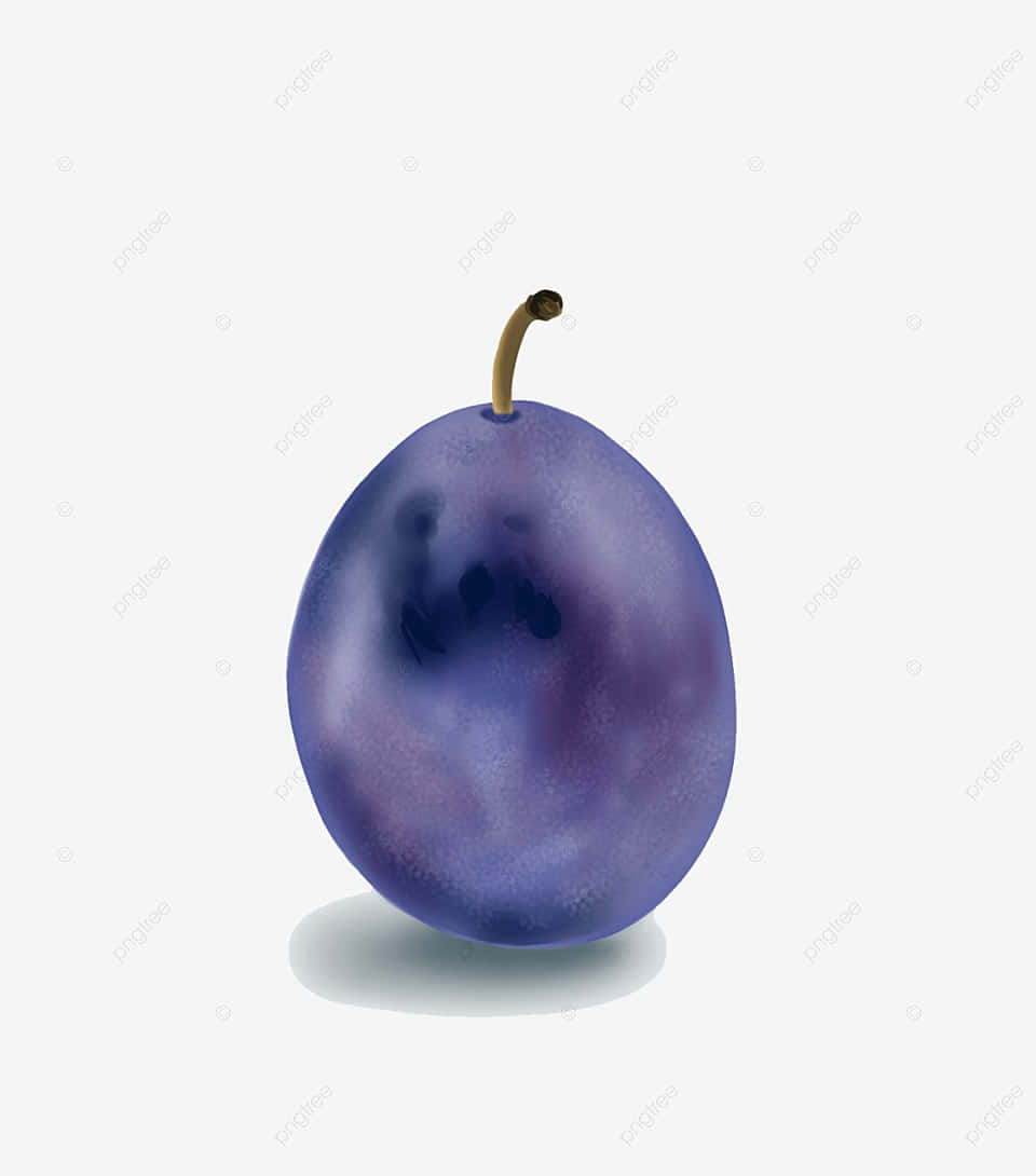 Italian Prune Plum Blue Indigo Ripe Fruit Wallpaper