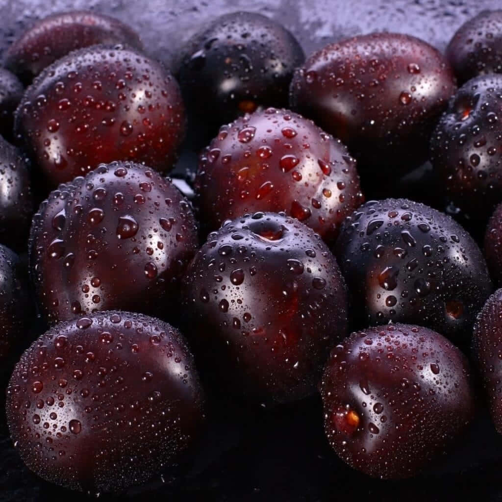 Italian Prune Plum With Dew Wallpaper