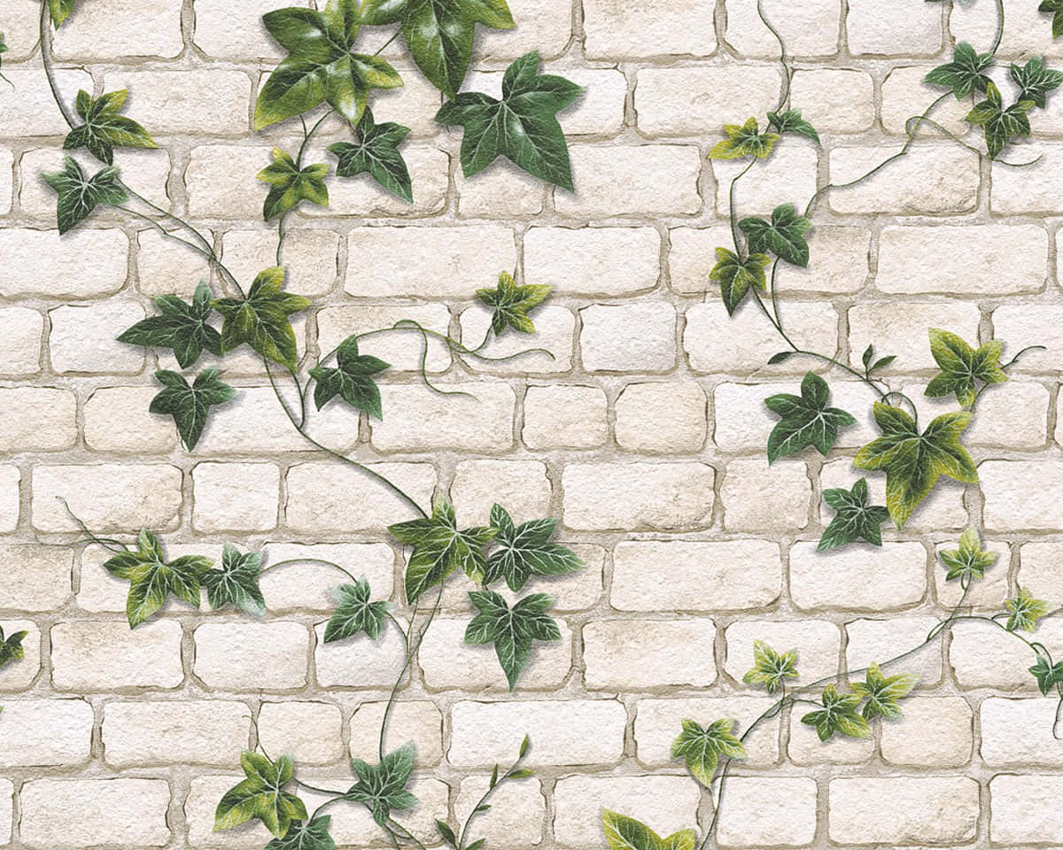 Ivy Covered Stone Wall Wallpaper