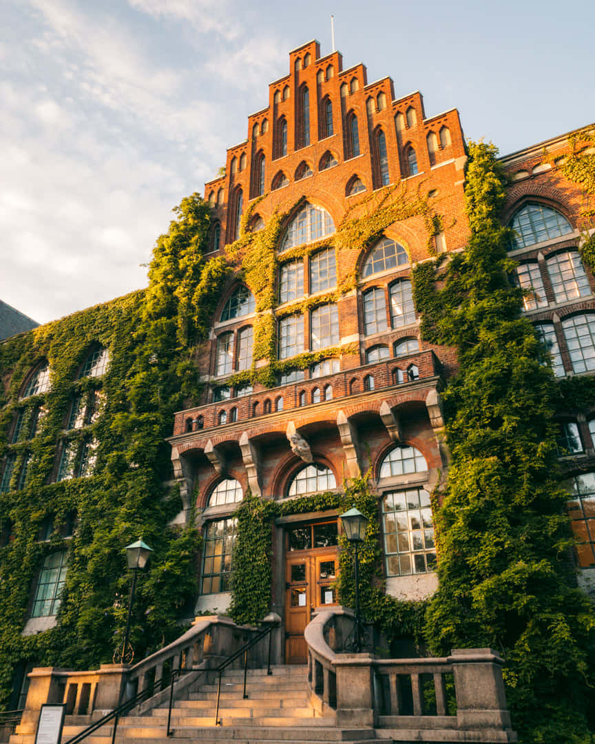 Ivy Covered University Building Lund Sweden Wallpaper