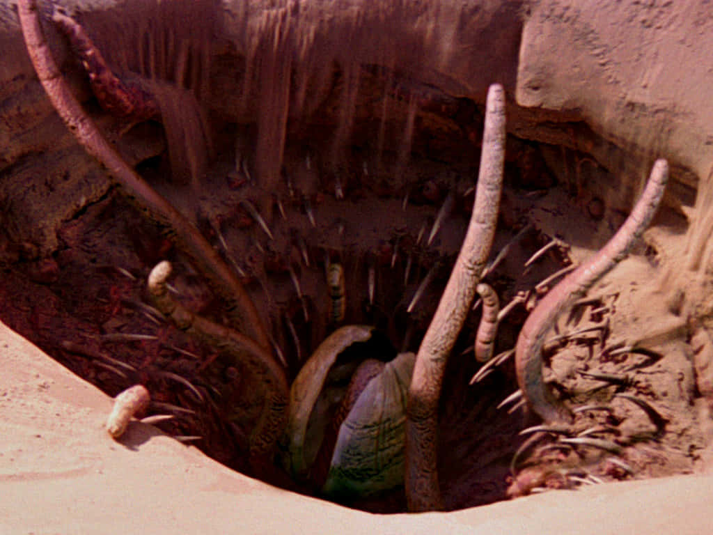 Jabba The Hutt's Deadly Sarlacc Pit Wallpaper