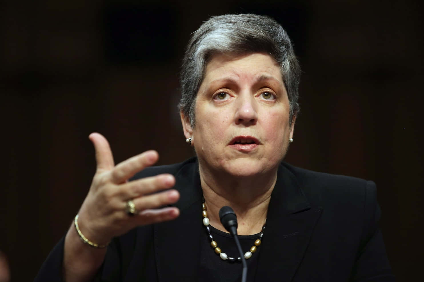 Janet Napolitano Gesturing Wallpaper