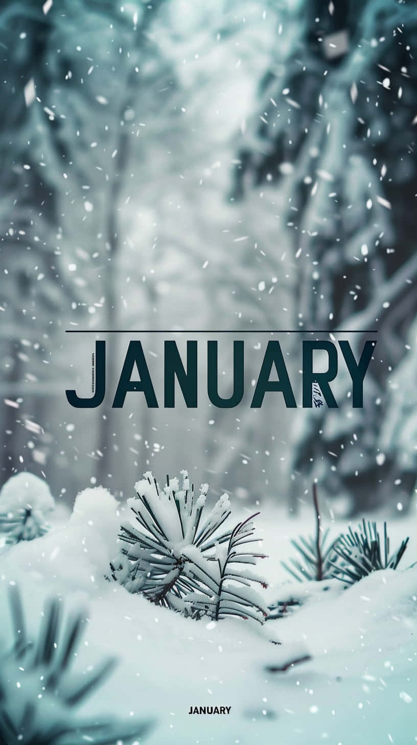 January Winter Snow Aesthetic Wallpaper