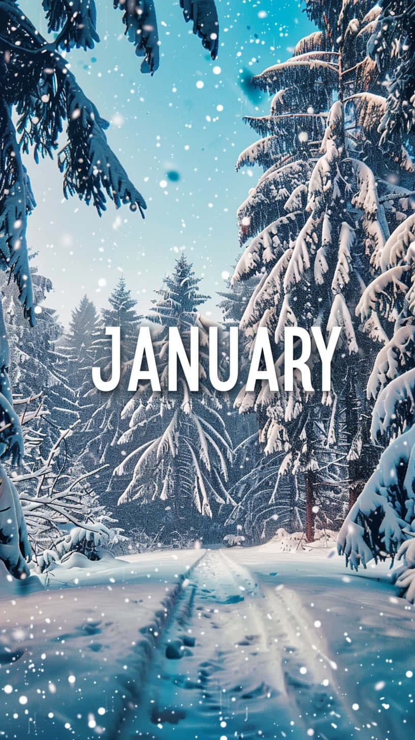 January Winter Wonderland Wallpaper