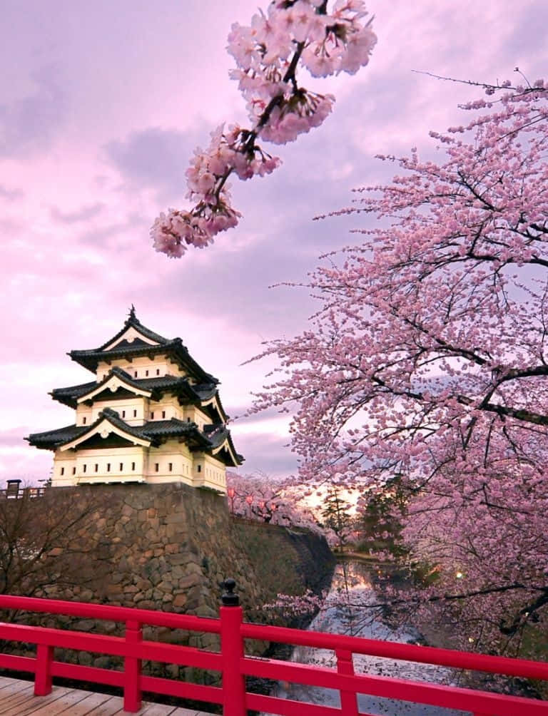 Japanese Phone Hirosaki Castle Under The Purple Sky Wallpaper